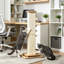 Scratching Post-1000308036-1000308037