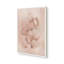 «Saltwater Shell Study II» par Grace Popp, reproduction d'art-826273195-826273197-826273203
