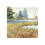 Daylight In Winter Print by Sara Brown-26724427-26724428
