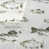 Banc de poissons