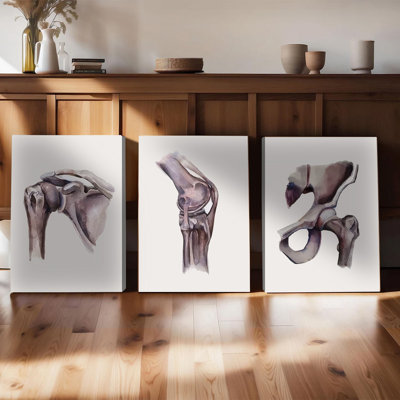 Ensemble de 3 affiches murales encadrées, aquarelles représentant les articulations du squelette sur toile, décoration anatomique médicale pour salon, chambre, bureau, style moderne et minimaliste, œuvre d'art squelettique pour cabinets médicaux.