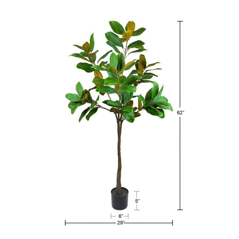 Outdoor UV Rated Magnolia Tree