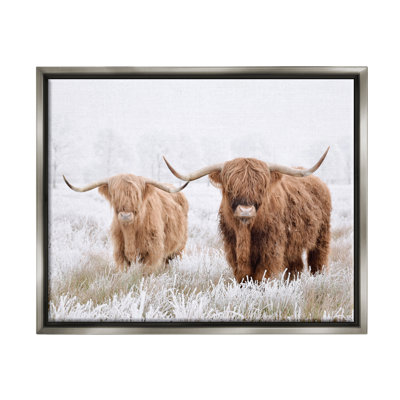 " Longhorn Cows In Snow "