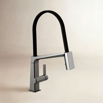 Pivotal Exposed Hose Kitchen Faucet