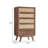 Simple Solid Wood Rattan Accent Chest