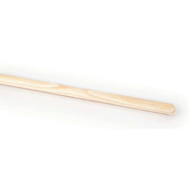 Broom Handles with Replaceable Head