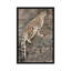 «Snow Leopard I», impression sur toile-33109836-72410630-72410631