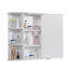 Bathroom Cabinet