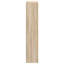 Accent Cabinet-1638788970