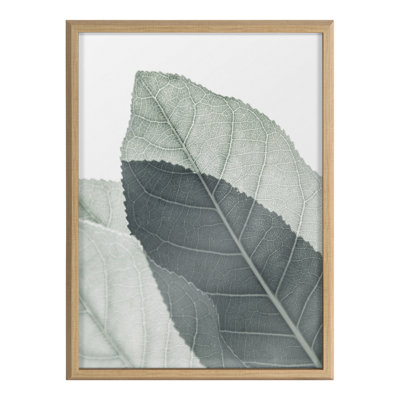 Modern Green Leaf Botanical II by The Creative Bunch Studio Framed Glass Wall Art
