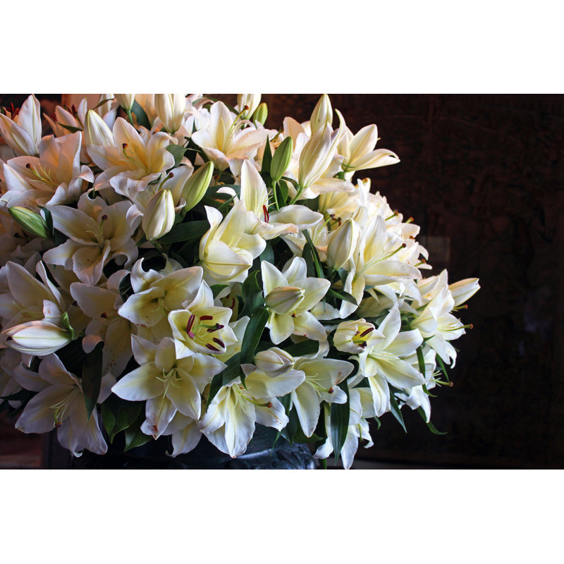 Lys blancs - Photographie sur toile tendue, H 8 po x l 12 po