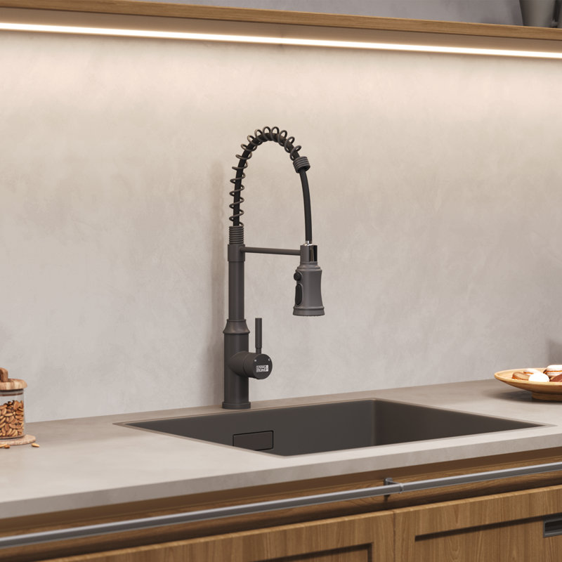Belfry Kitchen Kitchen Faucet, Black