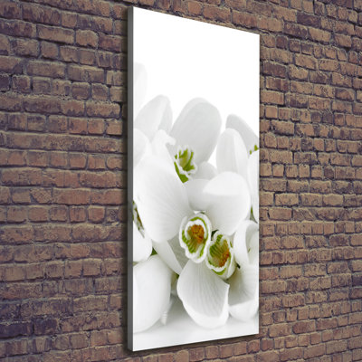 White Snowdrops - Wrapped Canvas Print