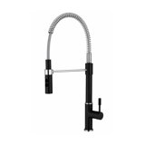 Marcus Pull Down Single Handle Spring Neck Kitchen Faucet