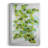 " Ivy " Print-88261731-88261729
