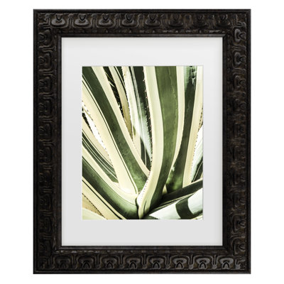 Bolog Shot By Clint Electric Argave Matted Framed Art