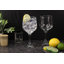 Verres Copa Gin 22Oz (ensemble de 4)