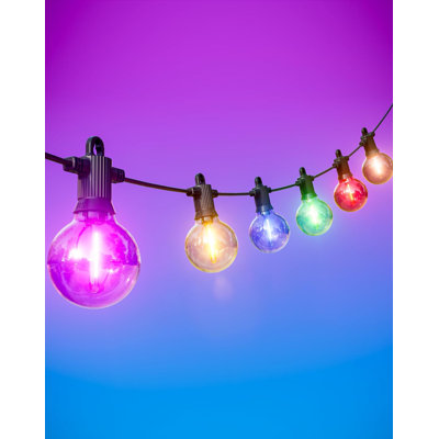 Jaylinn String Lights