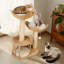 Alodie 99cm H Cat Tree