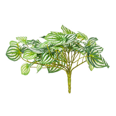 11" Artificial Watermelon Peperomia Bush, 2 Per Bag