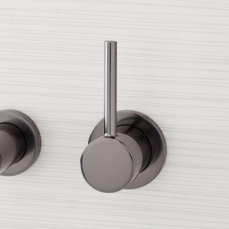 Lexia 1.2 GPM Wall Mounted Widespread Bathroom Faucet, Gunmetal