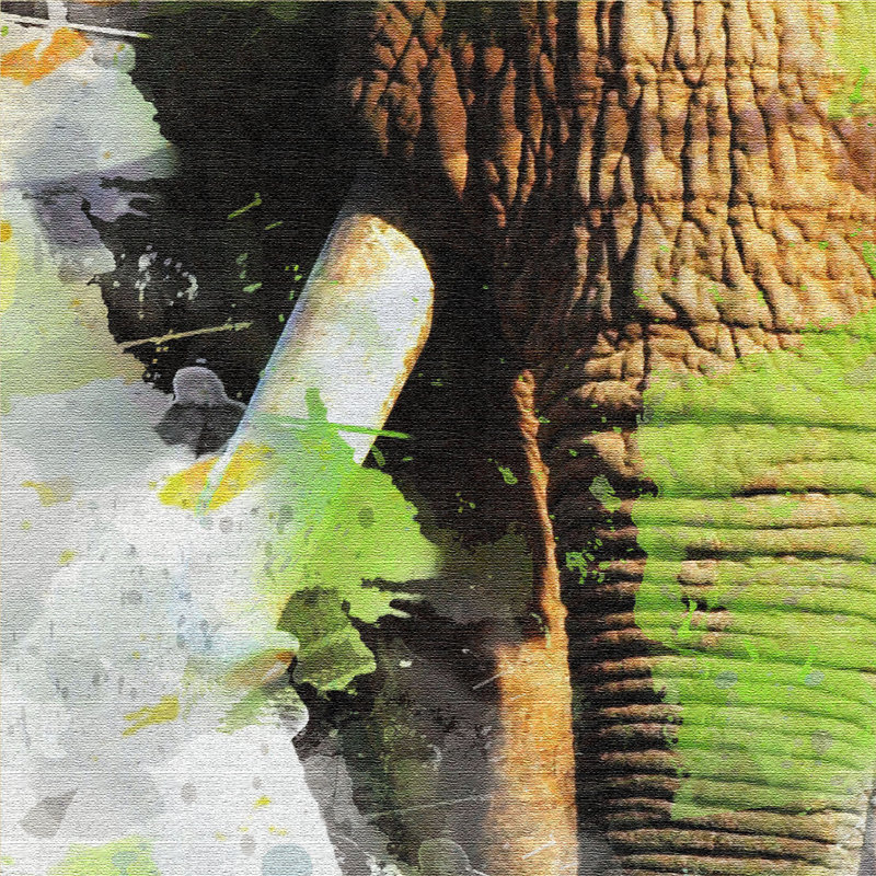 Print on Canvas, 150cm L x 100cm W x 4cm D, Luxus