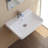 CeraStyle By Nameeks Noura 18.8'' Ceramic Rectangular Bathroom Sink with Overflow-98695199