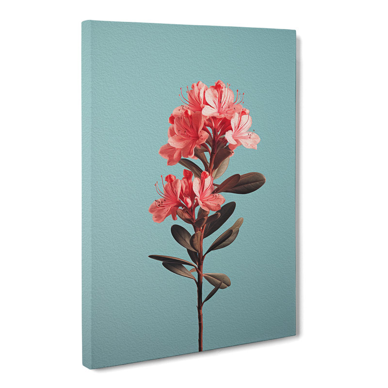 Rhododendron Minimalism No.2 - Wrapped Canvas