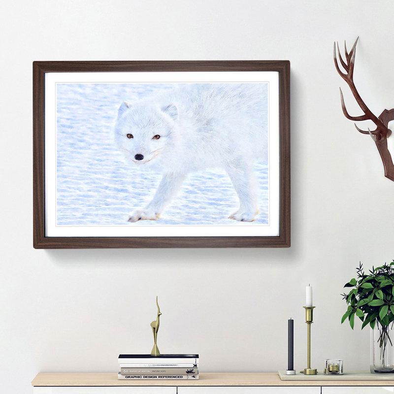 Winter Fox - Picture Frame Painting Print, 36cm H x 48cm W x 2cm D, Walnut Framed