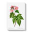 Blooming Raspberry Bush by Pierre-Joseph Redoute - Wrapped Canvas-55371682