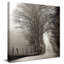 Cades Cove par Nicholas Bell - photographie-1584158176-1584158183