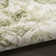 Haydel Area Rug