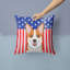  Coussin 14 "American Flag-1560286164-1560604464