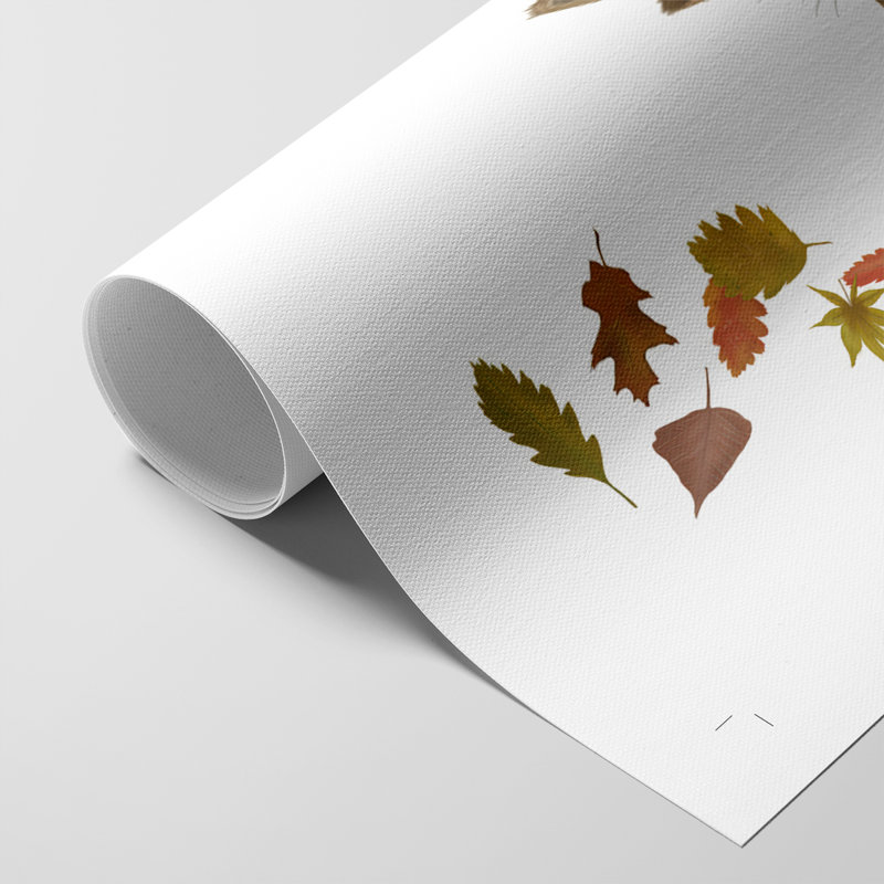 Feuilles de renard sur le nez - impression sur toile seulement - non encadrée, H 48 po x l 32 po