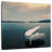 Abarca Piano By The Sea-109388214