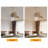 Frann 48'' Ceiling Fan with LED Lights