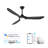 3 Blade Smart Solid Wood Ceiling Fan With Dimmable LED Light & Remote, Reversible DC Motor-265500839-263041755