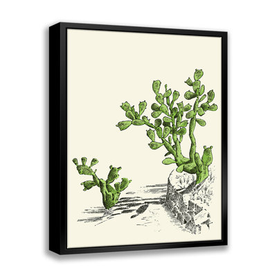 " Prickly Pear Cactus "