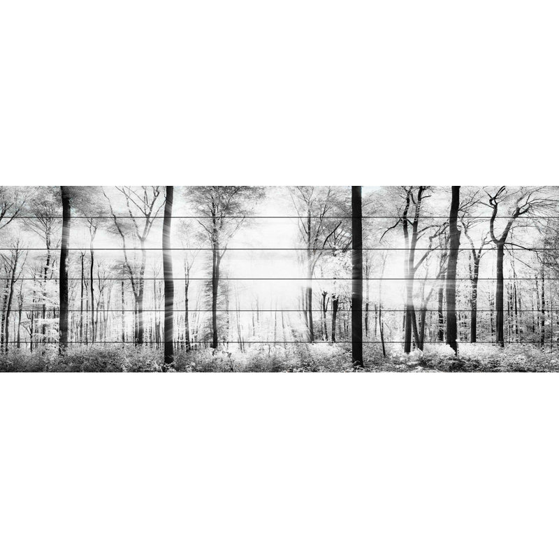 « panoramic forest »-impression sur bois sur bois, H 15 po x l 45 po x P 1,5 po
