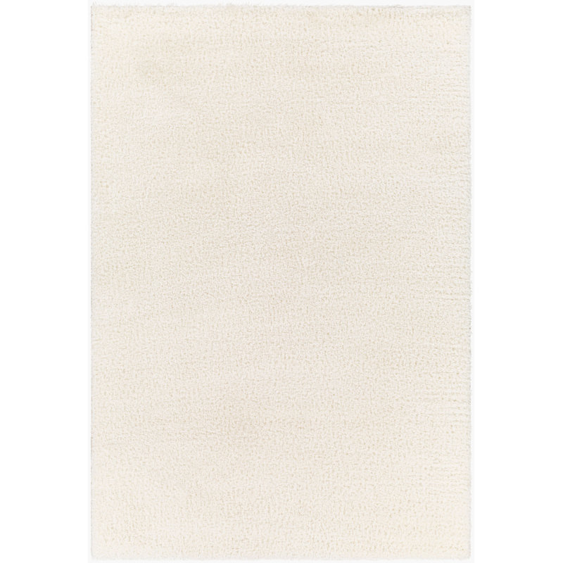 Basics by Wayfair™ Solid Shag Area Rug, Rectangle 3'11" x 5'7", Ivory