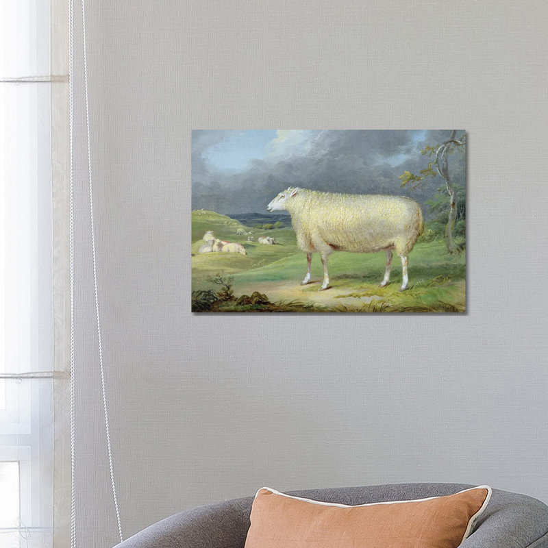 A Border Leicester Ewe by James Ward - Wrapped Canvas Painting, 66.04 cm H x 45.72 cm W x 1.91 cm D
