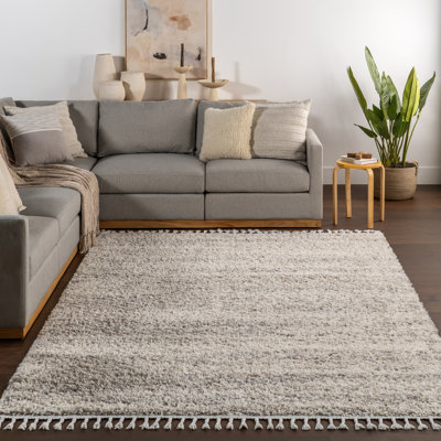 Makenna Performance Solid Shag Light Gray/Beige/Ivory Rug