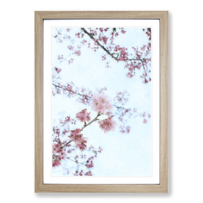 Eye of the Cherry Blossom Tree - Picture Frame Painting