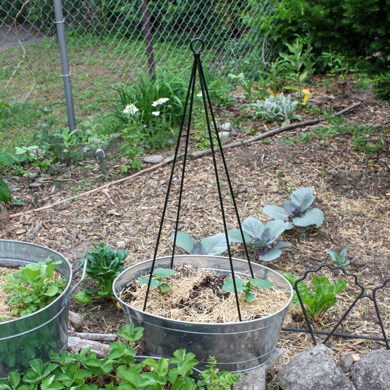 34" Black Wrought Iron Garden Trellis Set