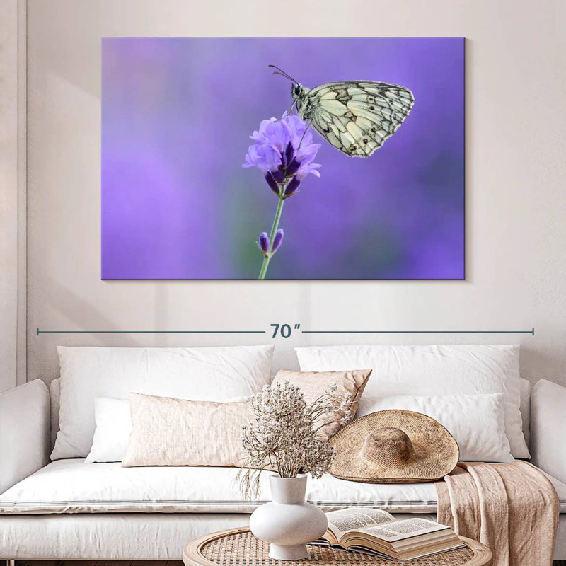 Papillon blanc marbré Brampt, H 34 po x l 51 po