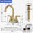 NO 2-handle Bathroom Faucet with Drain Assembly-97618746