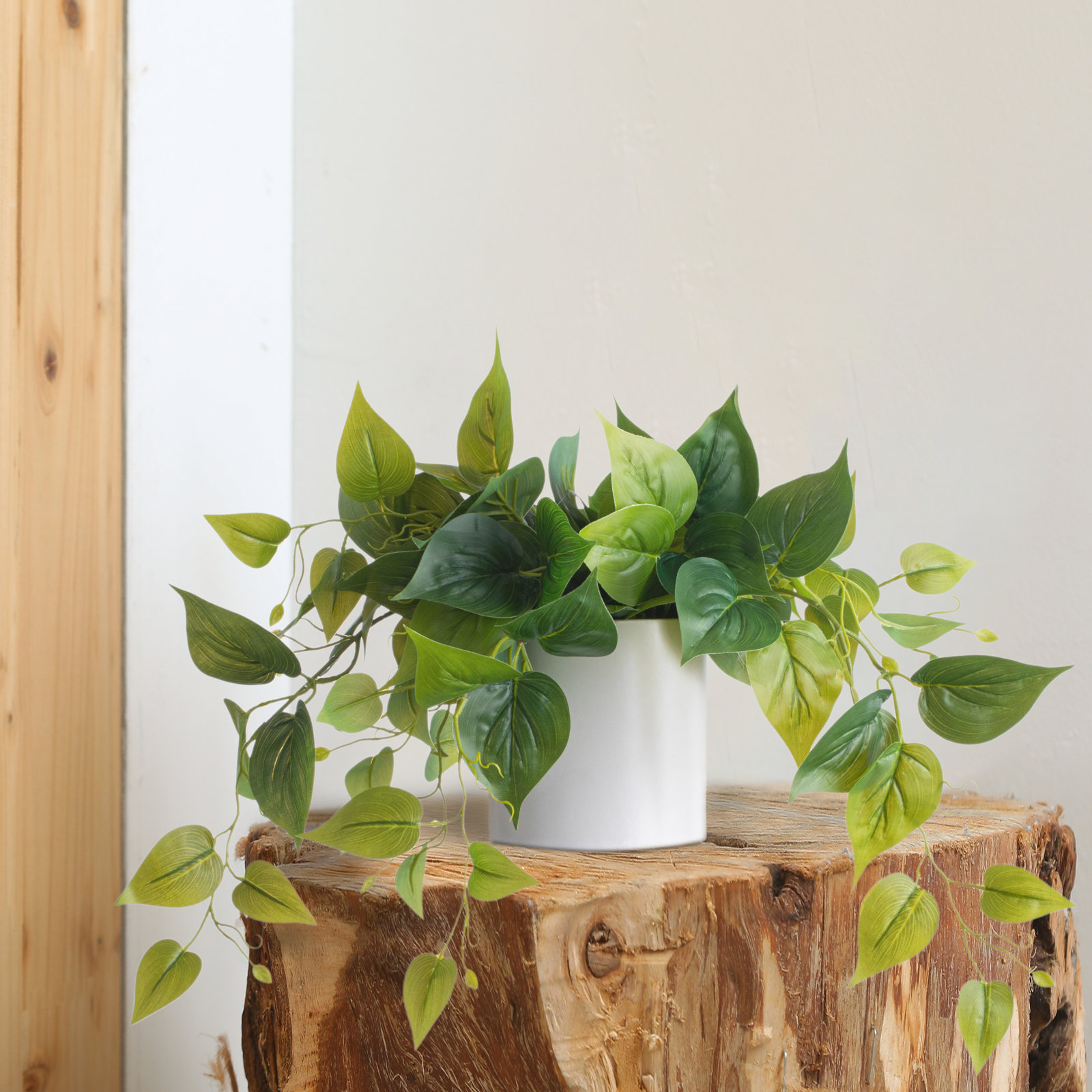 14" Pothos Plant in Pot, White, 1