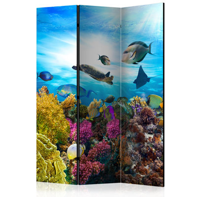 135cm W x 172cm H 3 - Panel One Sided Room Divider Folding Room Divider