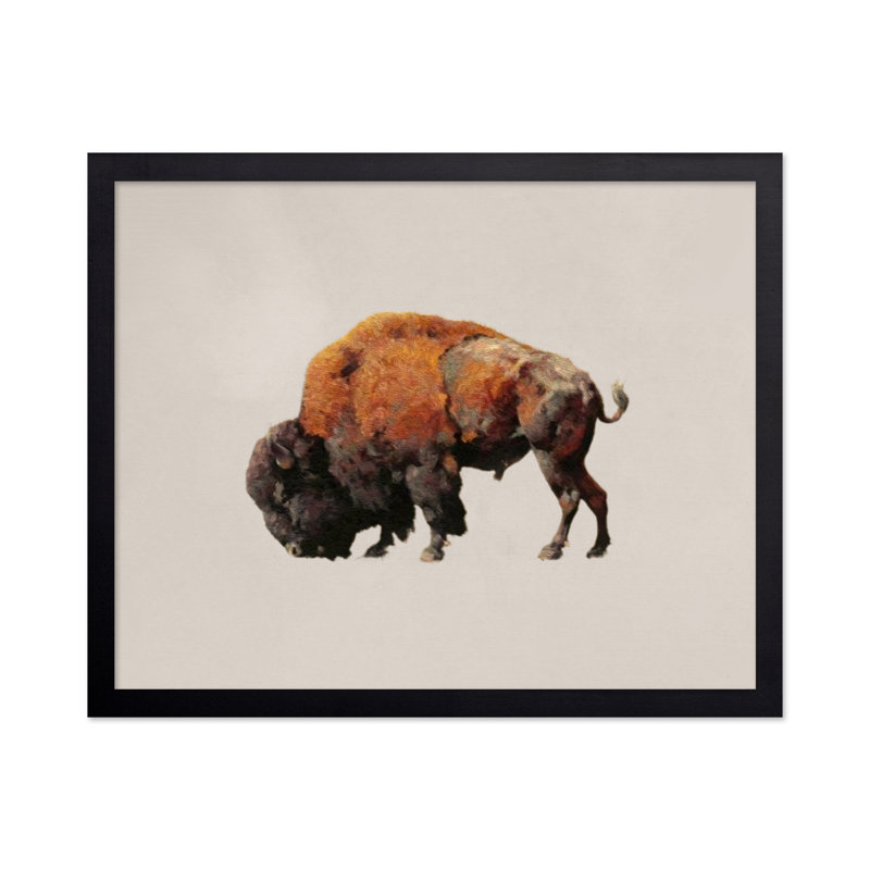 Bison bull, 18"H x 24"W, Poster, Black Framed