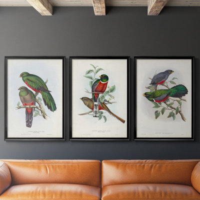 Gould Tropical Birds I  -Custom Framed  Wrapped Gallery Canvas - 3 Pieces